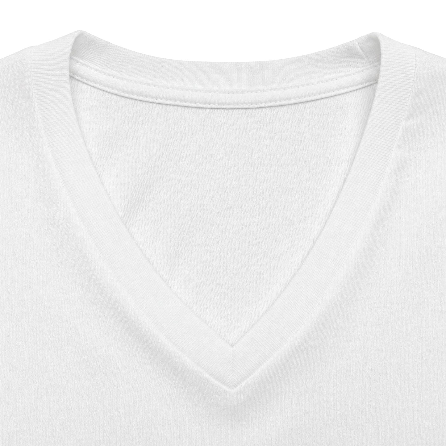 Landneyland Worldneyworld Women's Fit V-neck