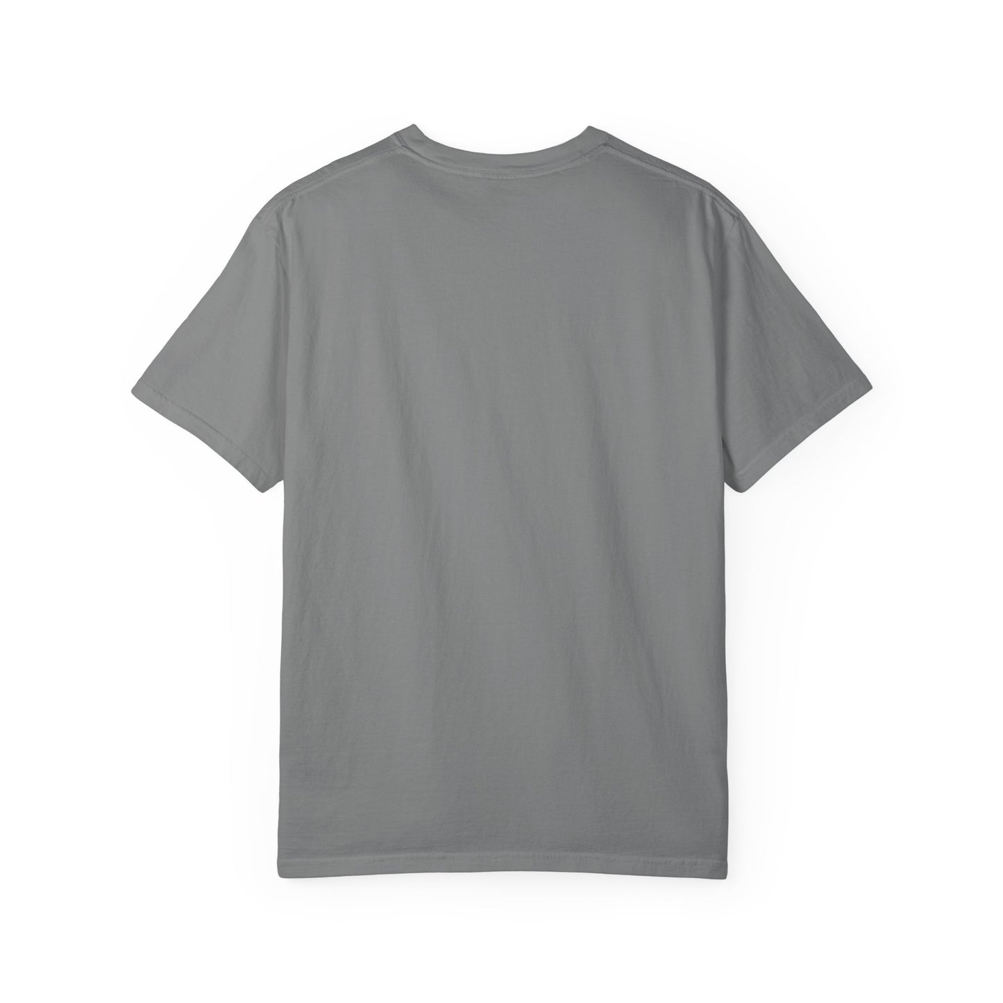 Landneyland Worldneyworld Comfort Colors