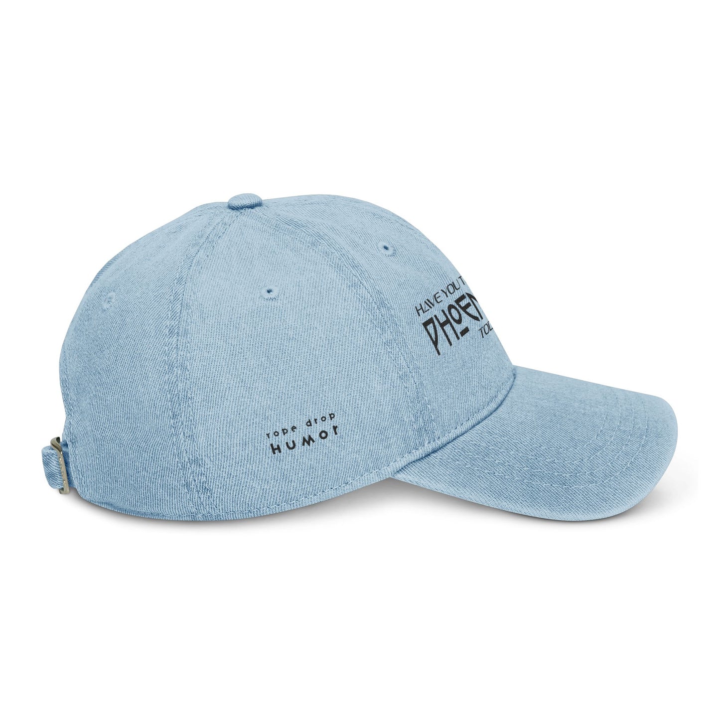 Have You Thanked A Phoenician? Hat; Light Blue