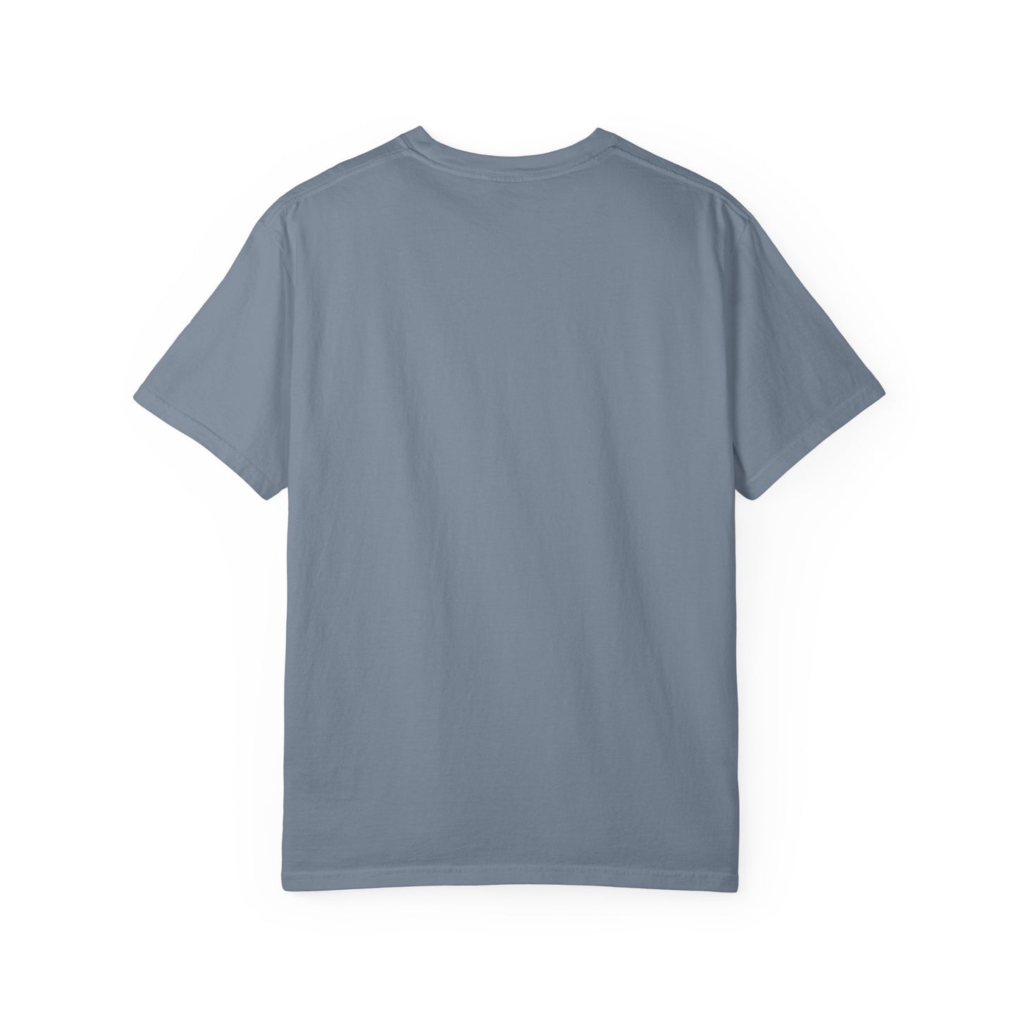 Landneyland Worldneyworld Comfort Colors