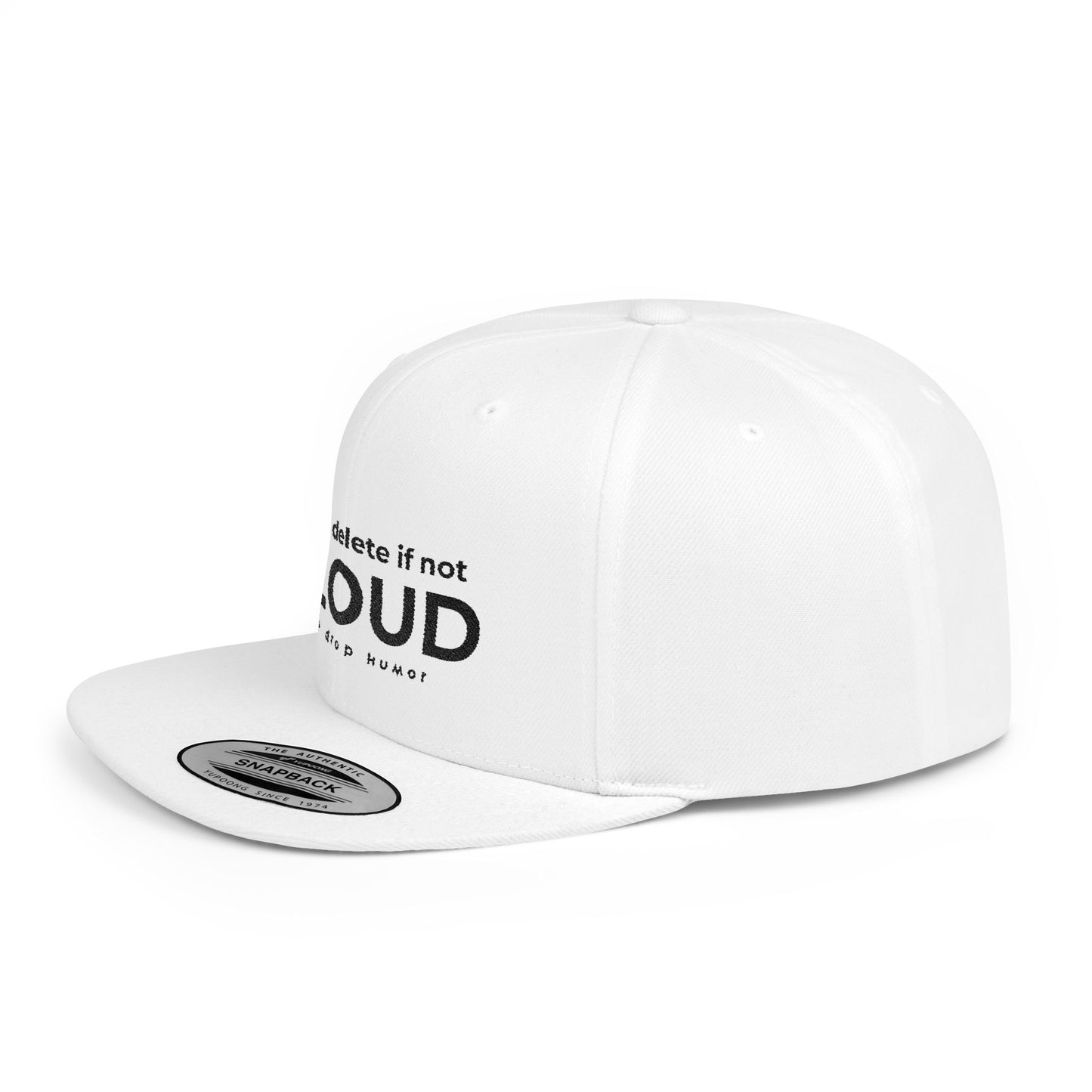 Please Delete If Not Aloud Flat Bill; Multiple Colors