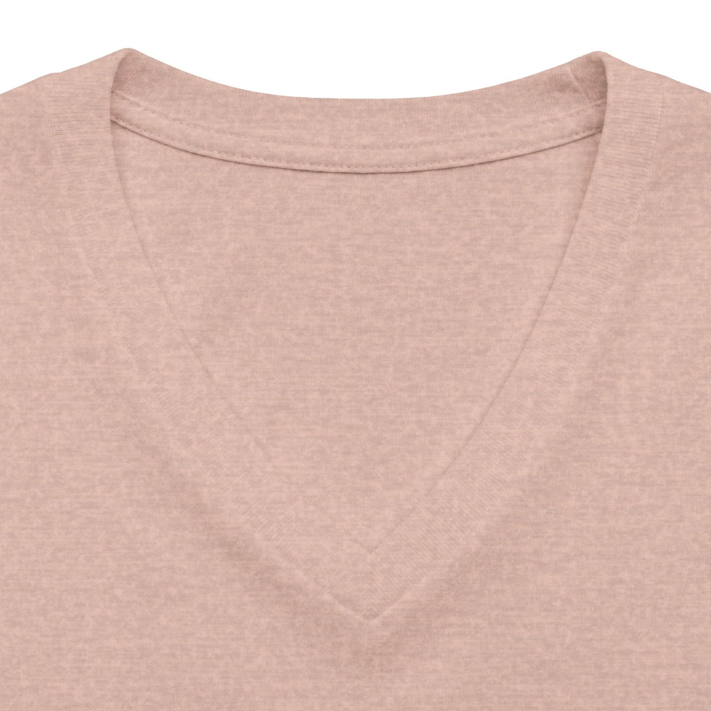 Landneyland Worldneyworld Women's Fit V-neck