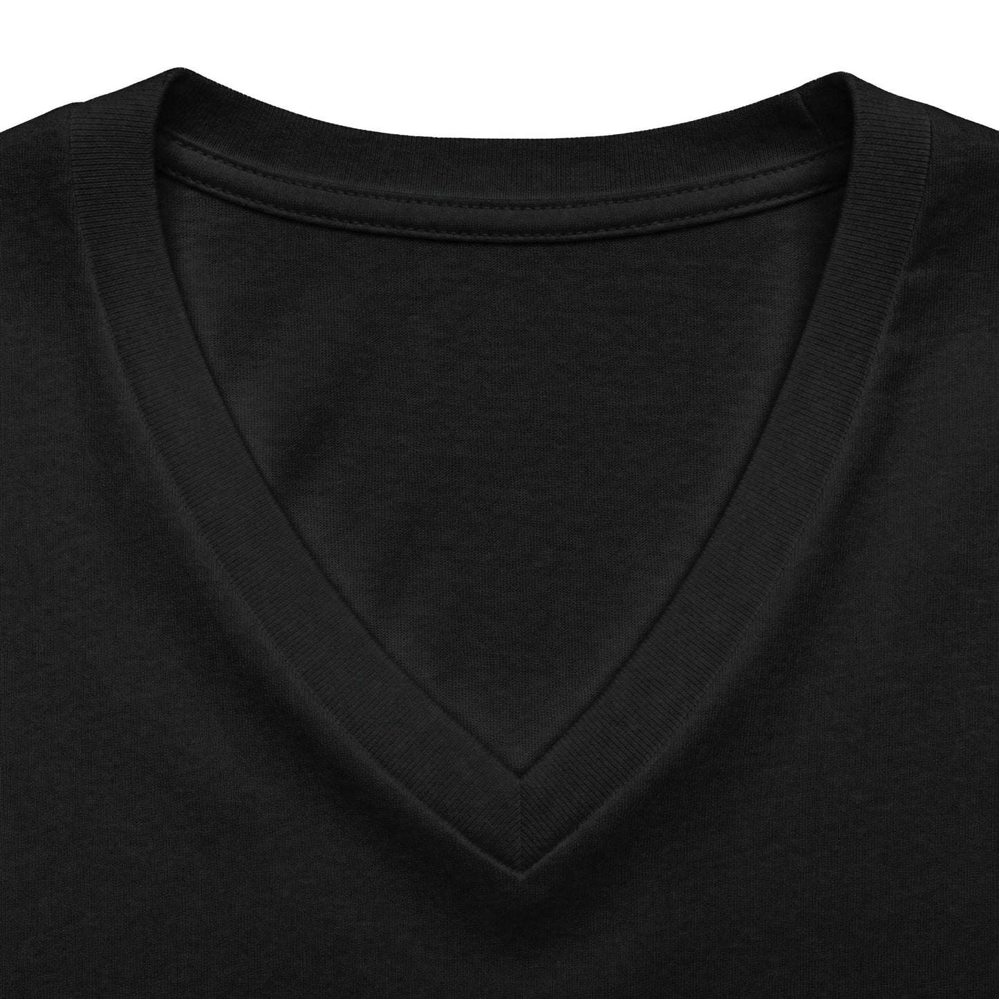 Landneyland Worldneyworld Women's Fit V-neck