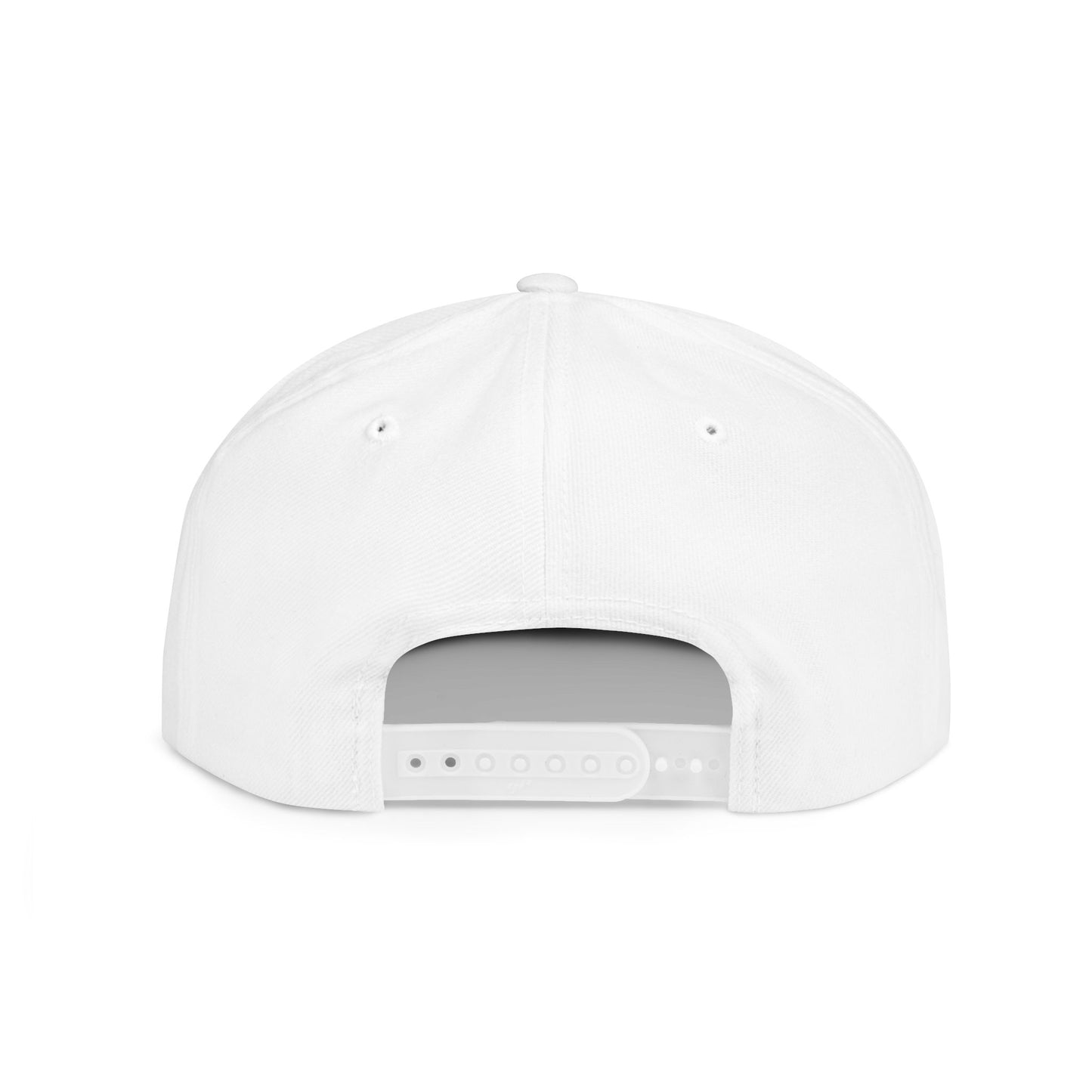 Please Delete If Not Aloud Flat Bill; Multiple Colors