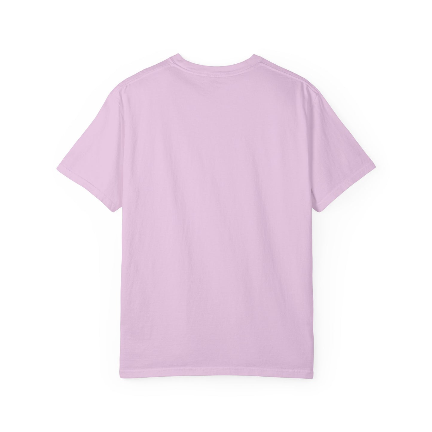 Landneyland Worldneyworld Comfort Colors